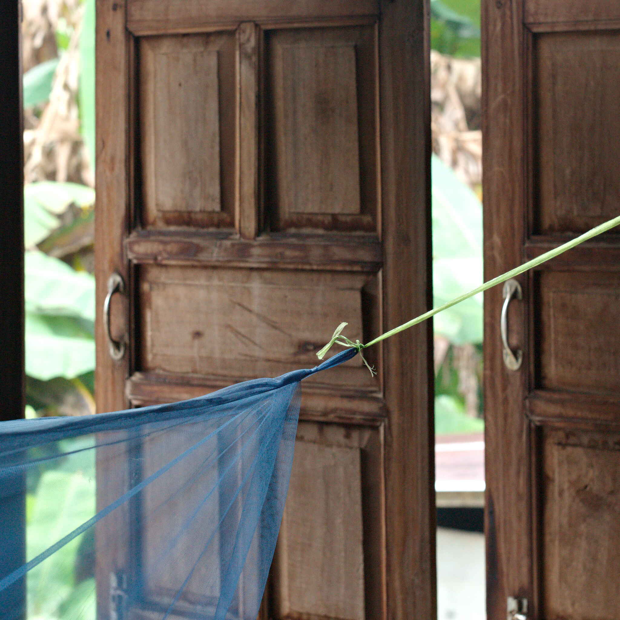 Elements of Chiang Mai